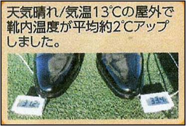 太陽光による靴内の温度の実験