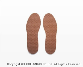 FOOT DRY INSOLE